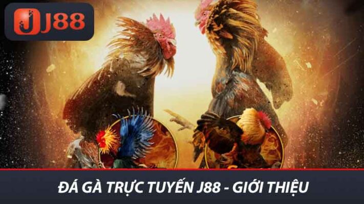 Đá gà trực tuyến j88 - Giới thiệu